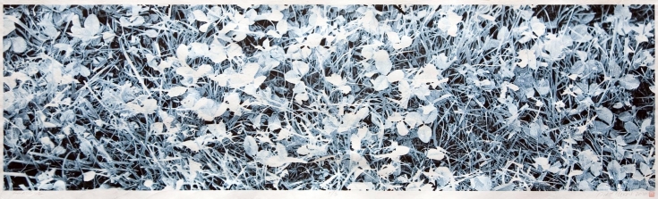 'Grass-2', July 16, 2010, woodblock print, 22.5 x 77 inch sheet, 16 blocks printed onto 8 sheets of hosho paper by Iwano Ichibei